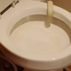 Image for article titled CatGenie Litter Box: The Clean Fresh Smell of Civilization's Discontents
